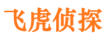 融安婚外情取证